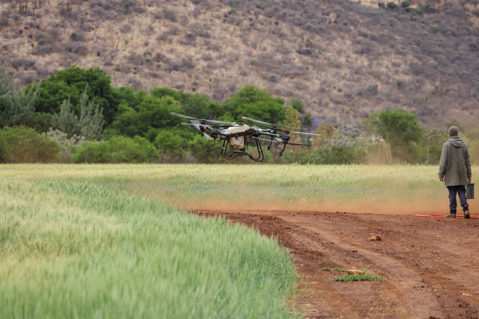 Certified drone pilot operating a UAV over farmland